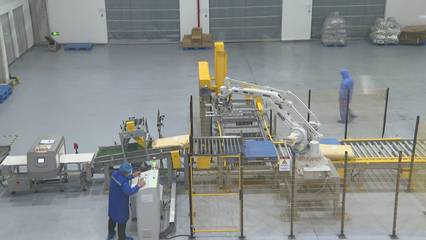 江蘇徐州:搶"新"機!徐州企業在更新換新中撬動大市場